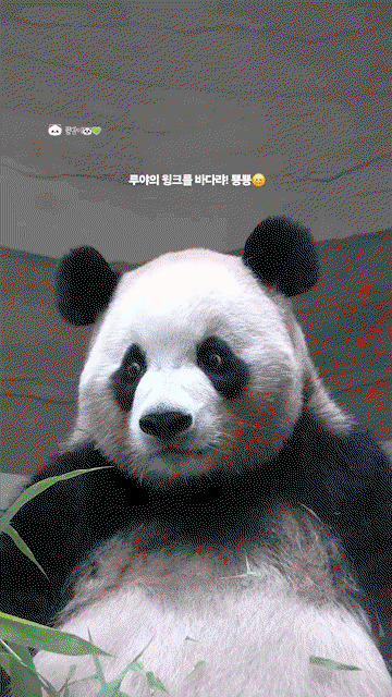 JcuHri.gif