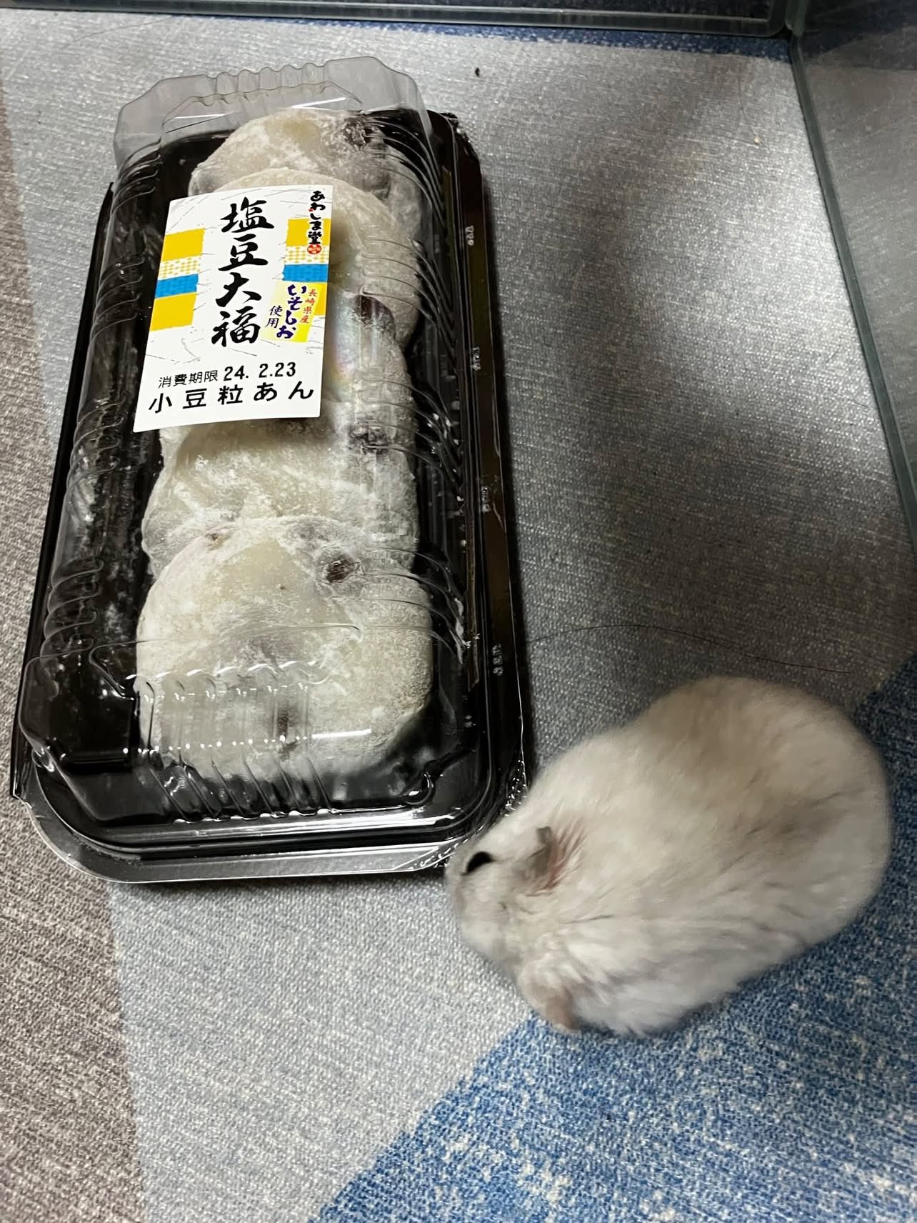 JdpJmb