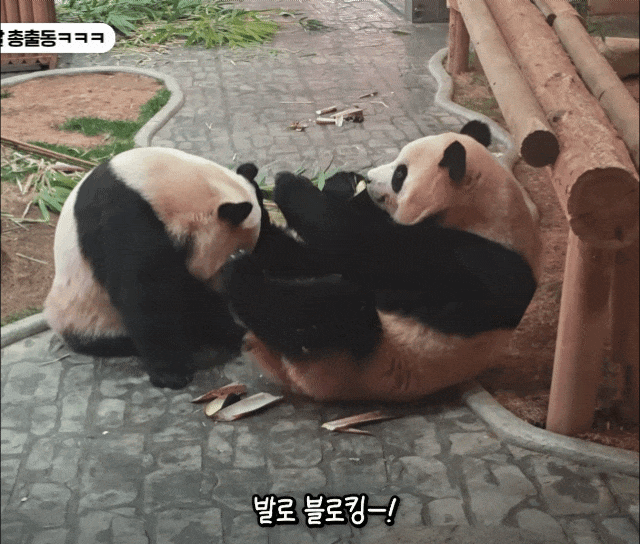 JkczhY.gif