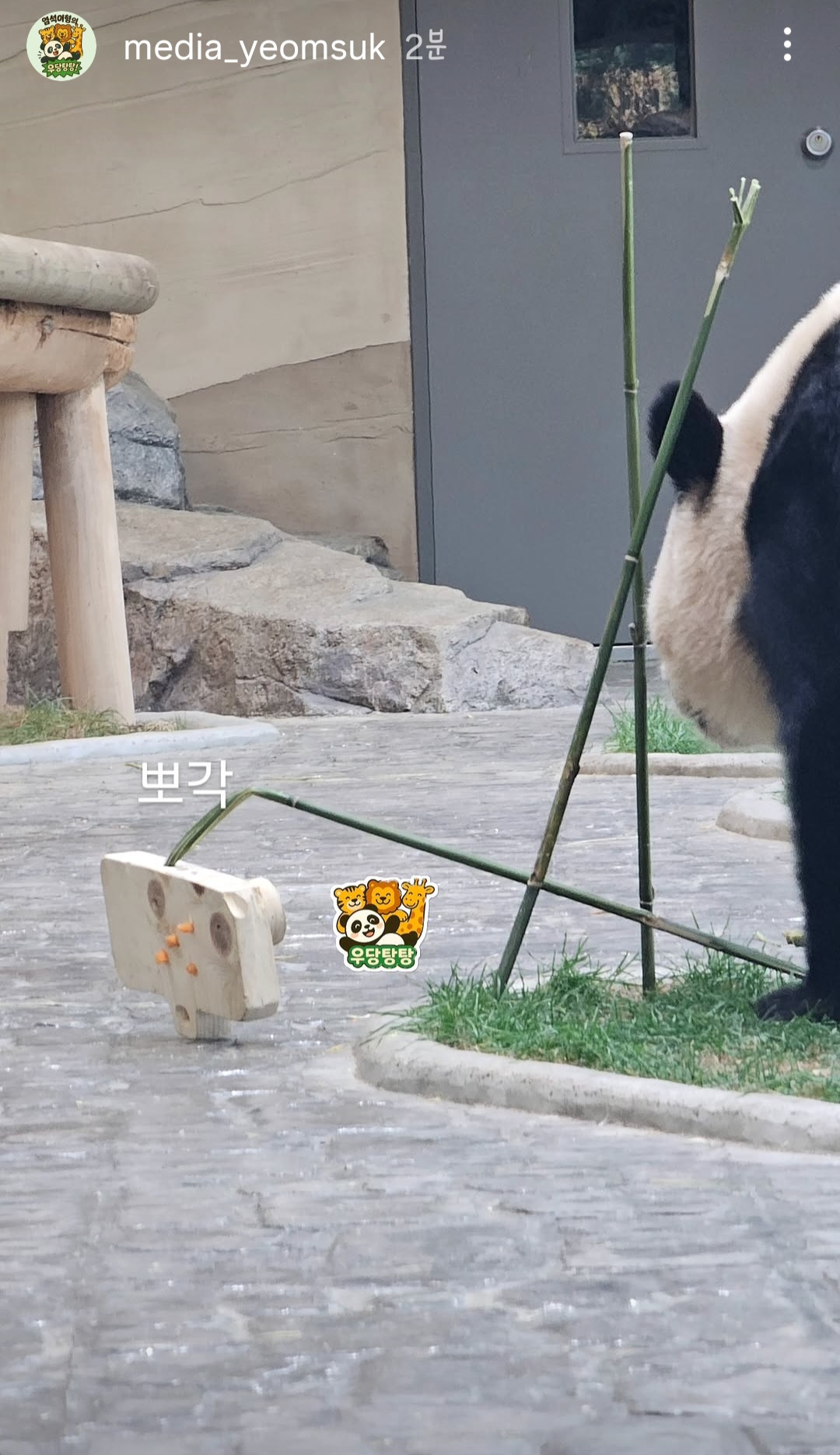 JokGCs