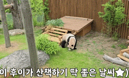 Jousqi.gif