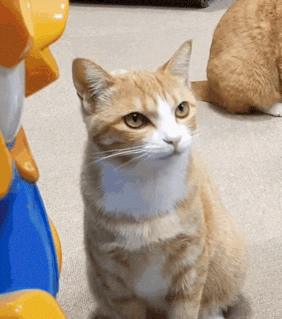 JpxwBR.gif