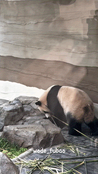 JtKJiA.gif
