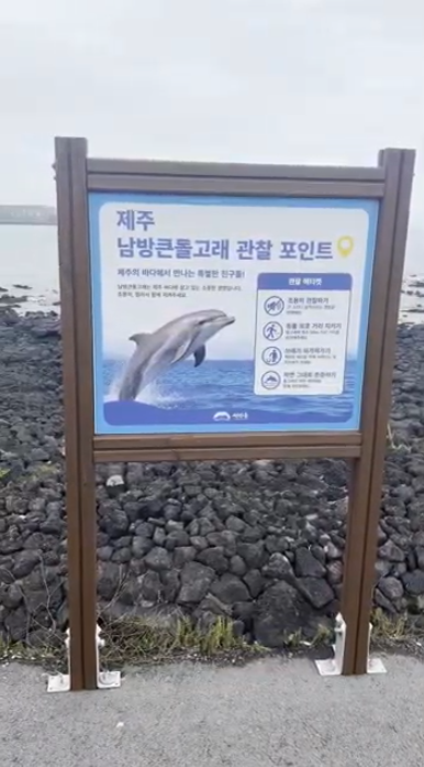 JzkKnD