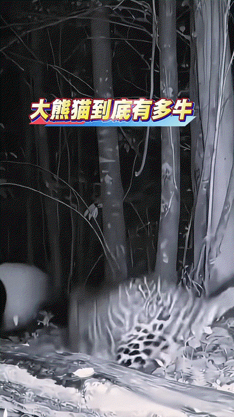 KAHfbV.gif