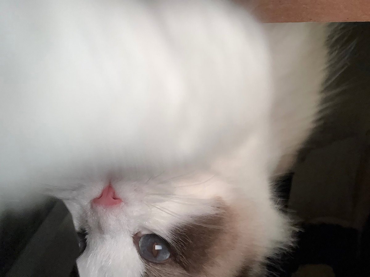 KAXhJs
