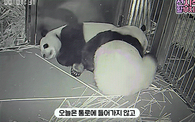 KAuEBj.gif