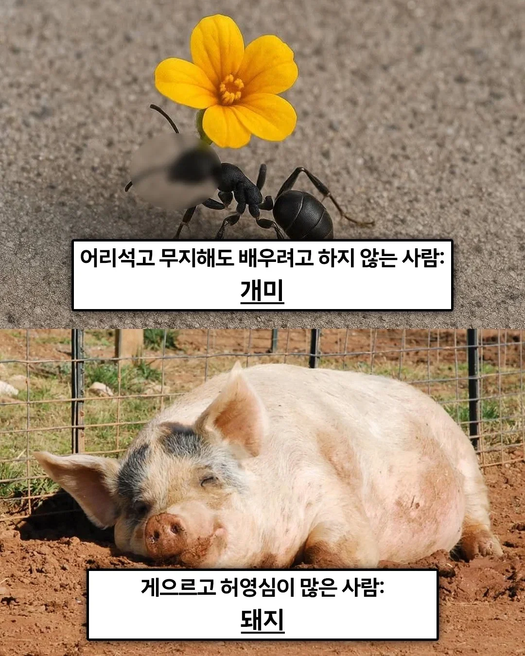 KBjfTj
