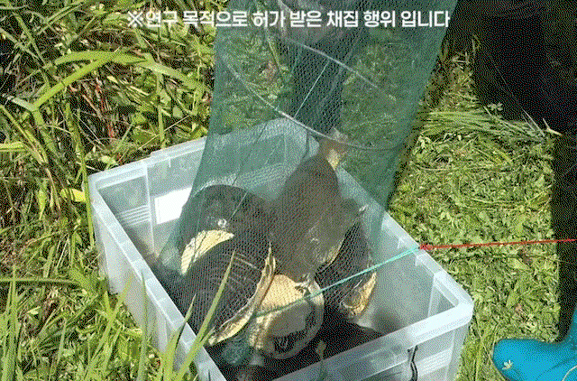 KEfSyZ.gif