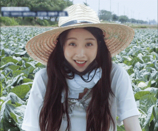 KGPHYR.gif