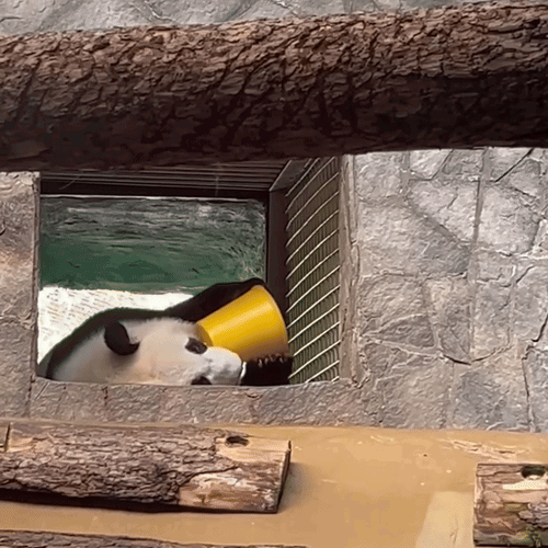 KIaBPA.gif