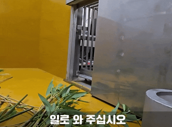 KIeQGh.gif