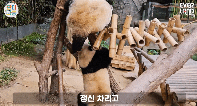 KMNqTB.gif