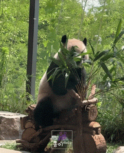 KMhSnh.gif