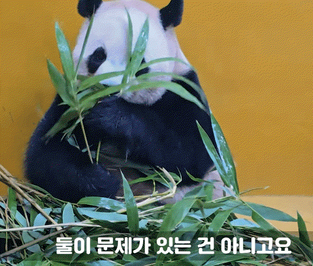 KNhOSV.gif