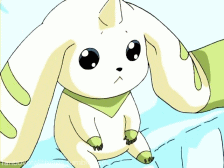 KNlDwi.gif