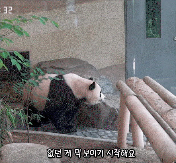 KNsSYI.gif