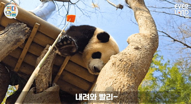 KPTcEI.gif