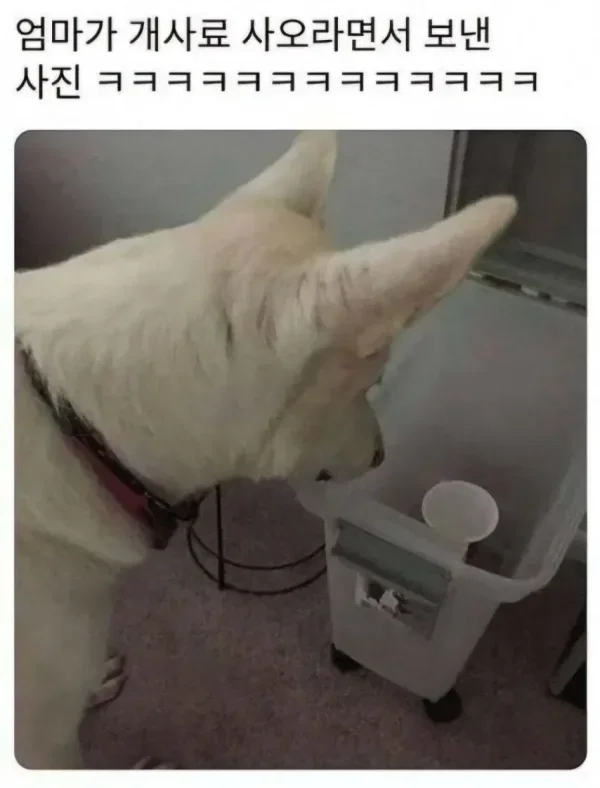 KQQSWh
