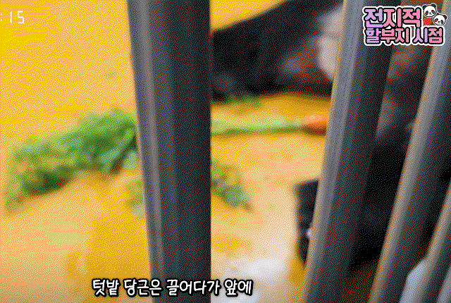 KSORiO.gif