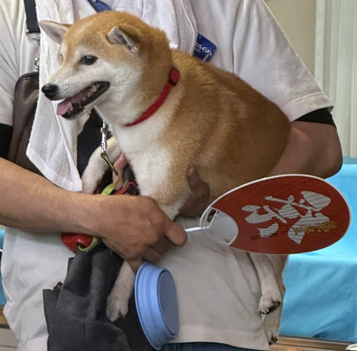 KSamxX
