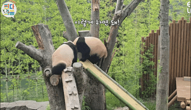 KSmqEL.gif