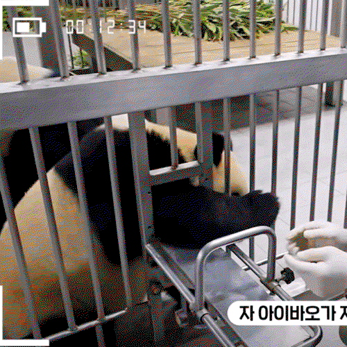 KTnTGn.gif
