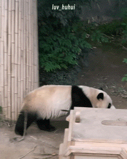 KVNhzg.gif