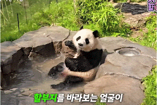 KVlGqQ.gif