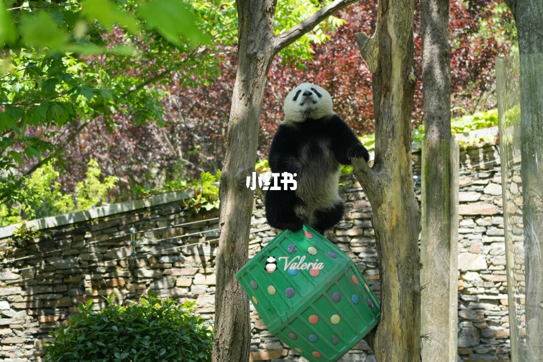 KYQoDF