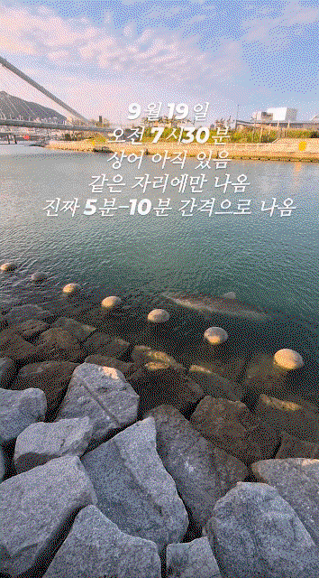 KbdXDU.gif
