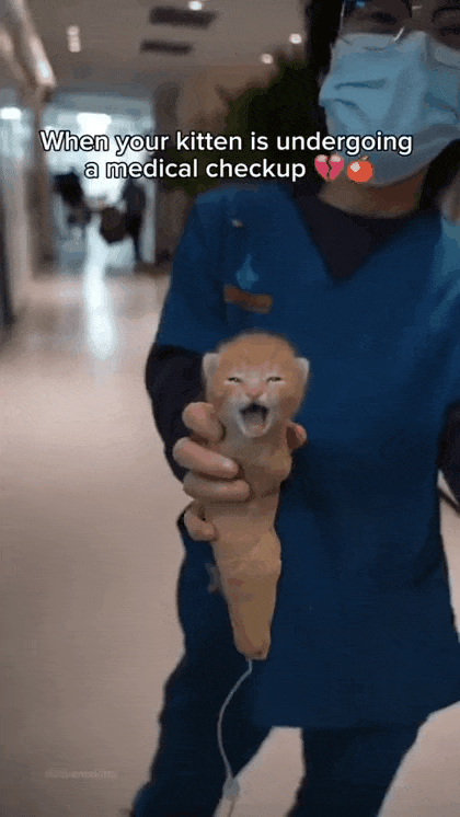 KblBjb.gif