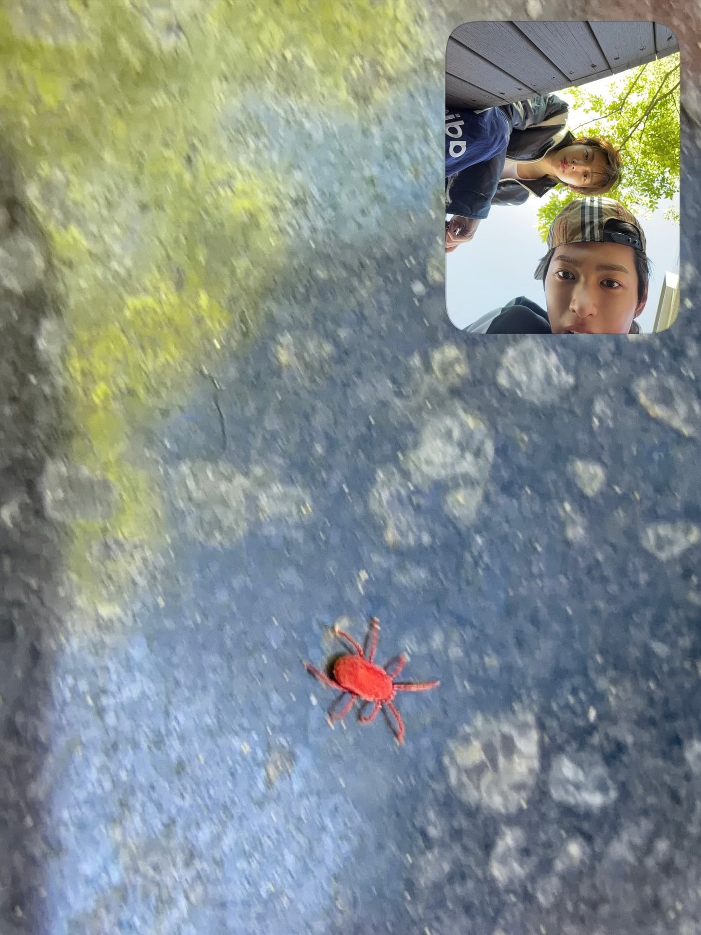 Kfpdeu