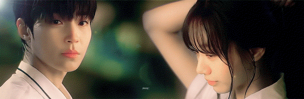 KgDICE.gif