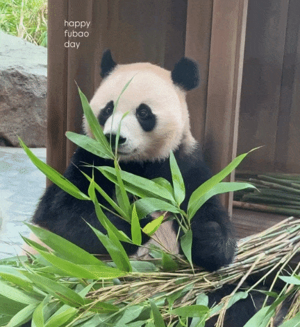 KgZPAn.gif