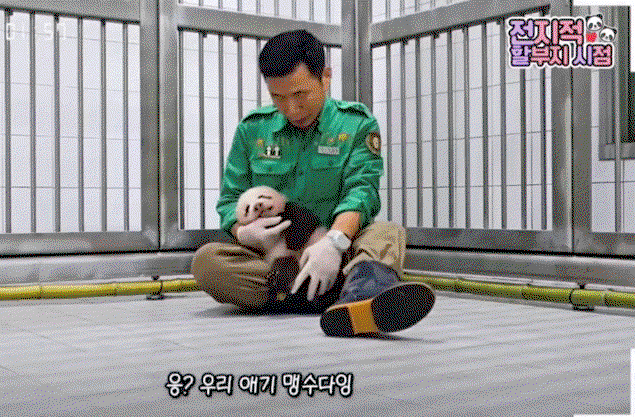 KhOUtX.gif
