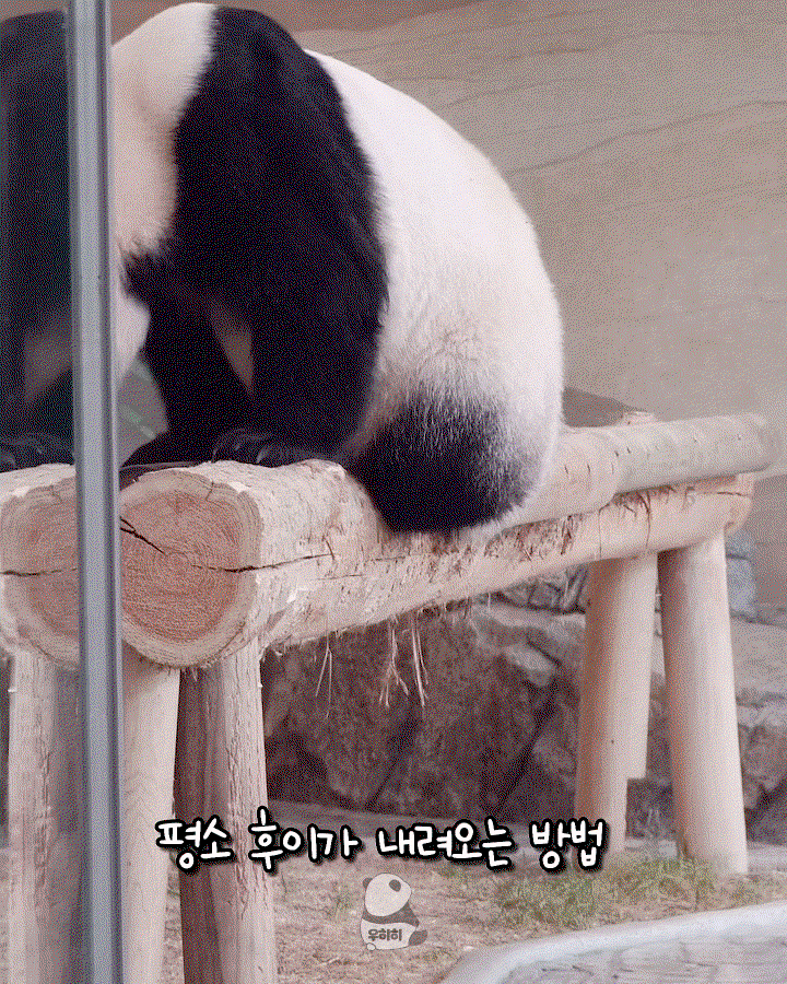 KhYQBz.gif