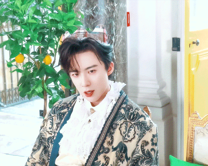 KiSulN.gif