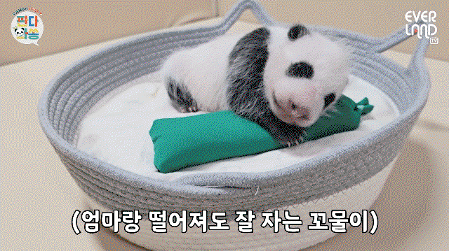 Kilqjo.gif