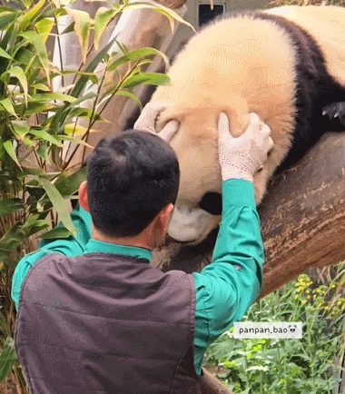 KjExlz.gif