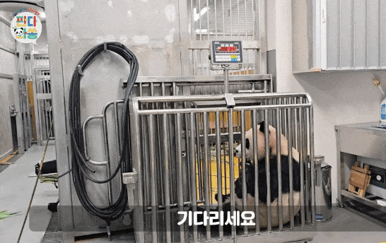 KlgqPo.gif
