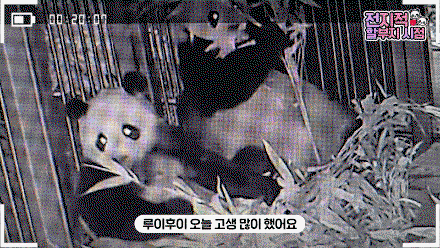 KnXILU.gif