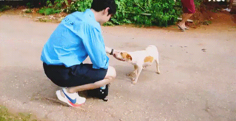 KvmAJL.gif