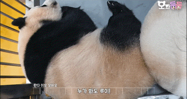 KykrMl.gif