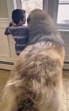 LAYkxY.gif