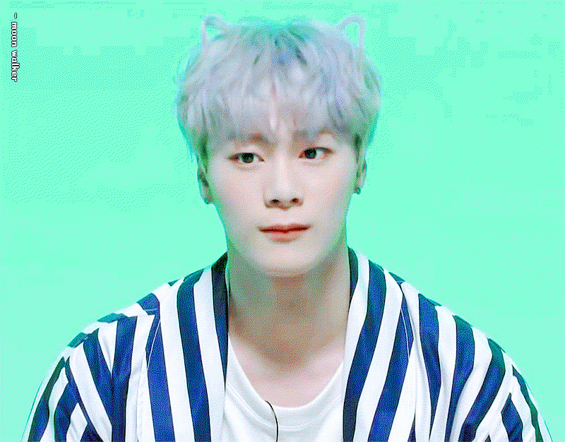 LAlNoQ.gif