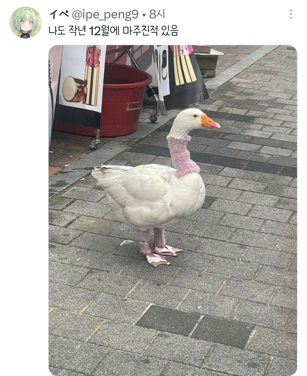 LBVvZH