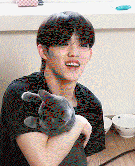 LBlsSn.gif
