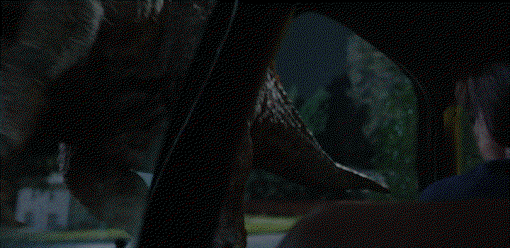 LGKiCb.gif