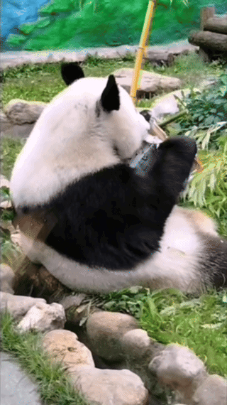 LGkJVZ.gif